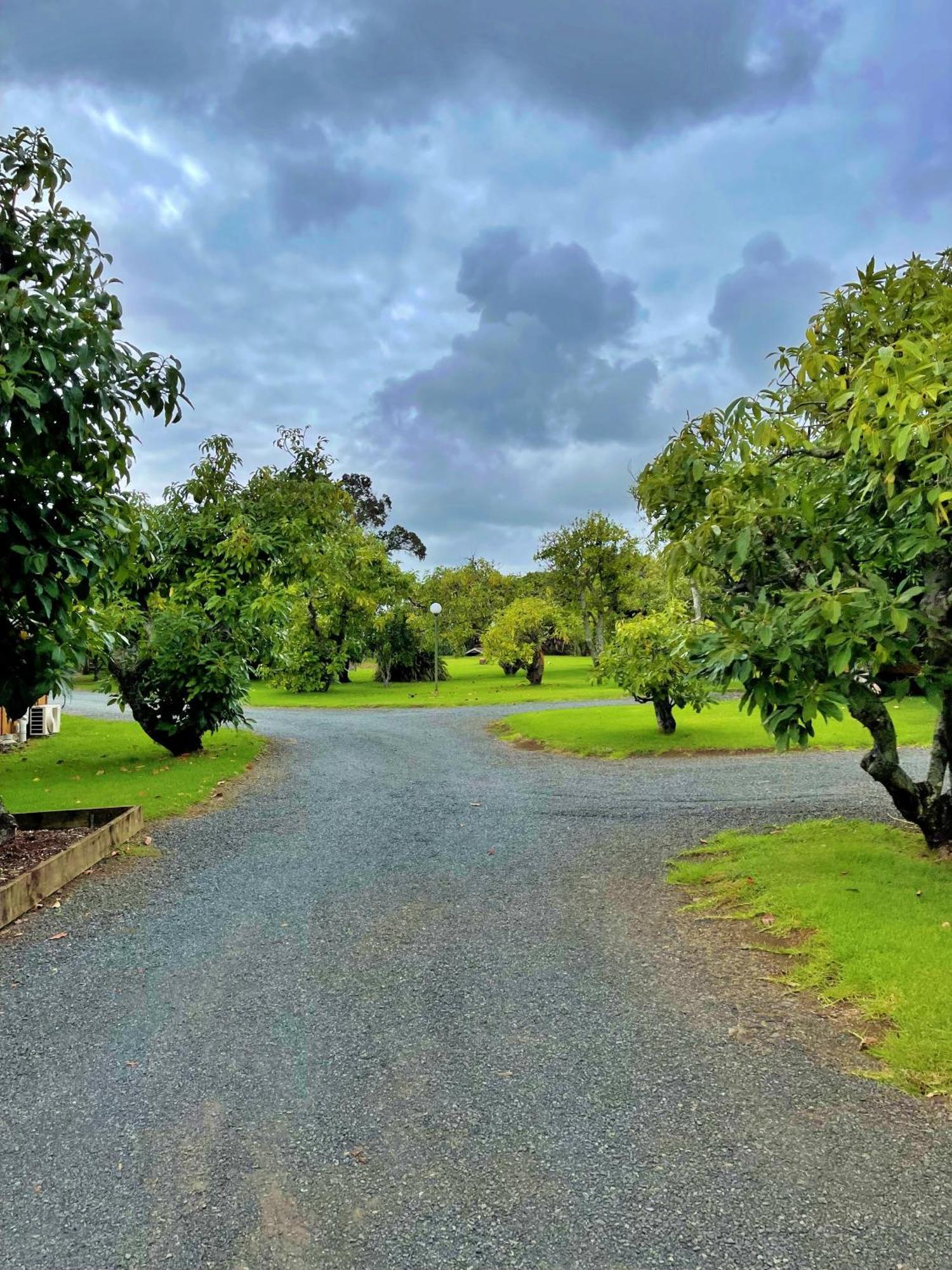 Kerigold Secluded Chalets Motel Kerikeri Dış mekan fotoğraf